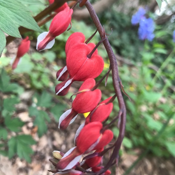 Meet your Posher, Angela 🦋🌊🦋🌊🦋🌊🦋 - Picture 8 of 16